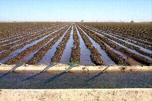Pinal water group still undecided on agricultural extinguishment credits