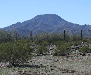 Pinal Partnership Open Spaces & Trails Committee hosts its first photo contest this spring to focus on Pinal County’s natural beauty