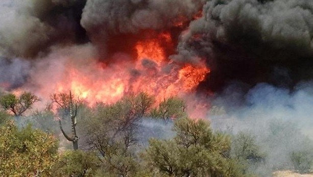 Arizona to receive FEMA funding to battle Kearny River fire in Pinal County