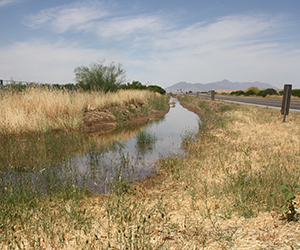 County, Corps agree to Lower Santa Cruz Watershed feasibility study
