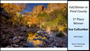 Pinal Partnership