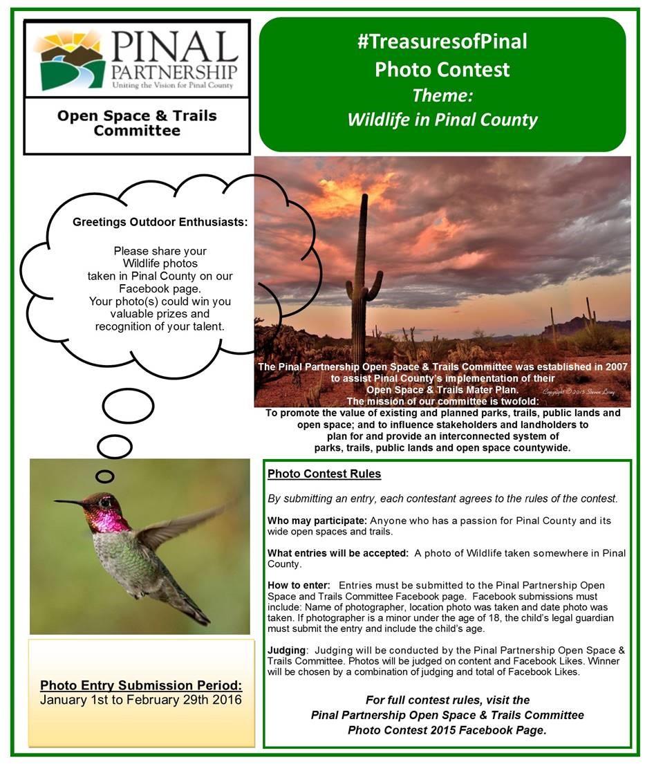 pinal partnership