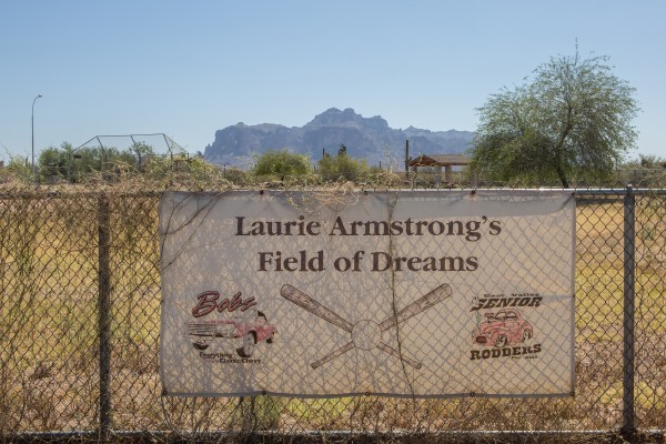 From a field of weeds to a field of dreams